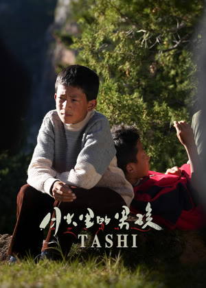 月光里的男孩电影