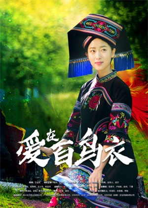 爱在百鸟衣电影