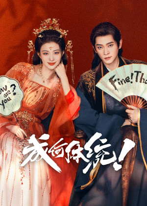 成何体统电视剧