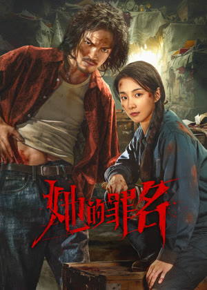 她的罪名电视剧