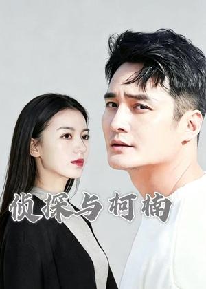 侦探与柯楠电视剧