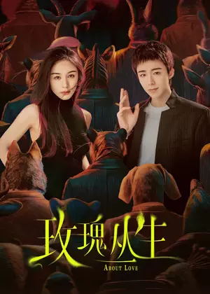 玫瑰丛生电视剧