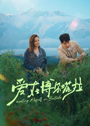 爱在博尔塔拉电视剧