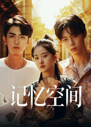 记忆空间电视剧