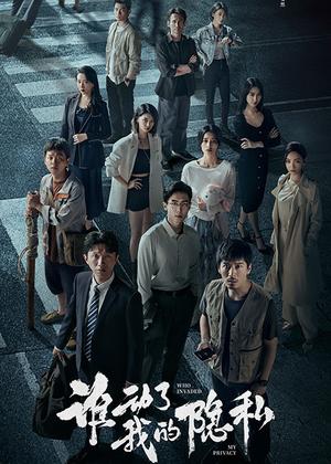 谁动了我的隐私电视剧