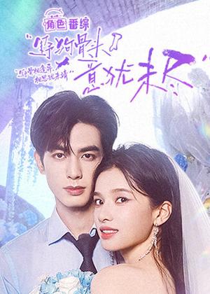 野狗骨头・意犹未尽（2026）