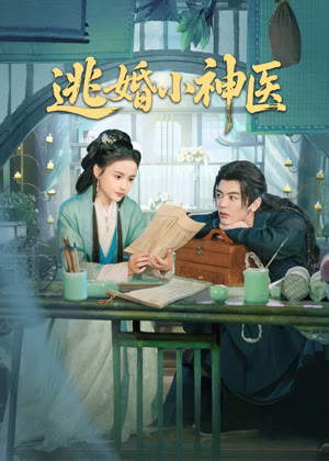 逃婚小神医电视剧