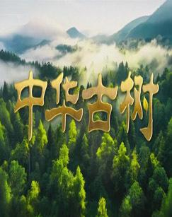 中华古树（2026）